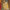 Ravensburger Παζλ Klimt:Το Φιλί