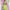 Hasbro Disney Princess Royal Shimmer Tiana