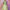 Hasbro Disney Princess Royal Shimmer Tiana Doll, Κούκλα Μόδας Με Φούστα Και Αξεσουάρ