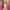 Hasbro Disney Princess Royal Shimmer Pocahontas Doll, Κούκλα Μόδας Με Φούστα Και Αξεσουάρ